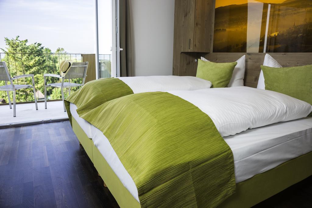Hotel Rheingold ガイリンゲン 部屋 写真